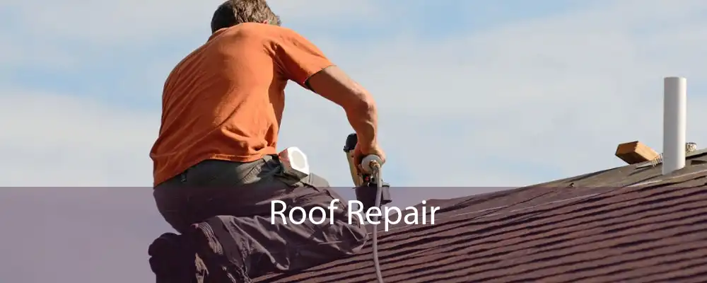 Roof Repair 